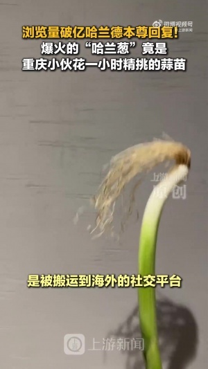 巴拿马vs英格兰直播赛事前瞻_巴拿马vs英格兰直播赛事前瞻免费看_巴拿马vs英格兰直播赛事前瞻高清直播回放-
